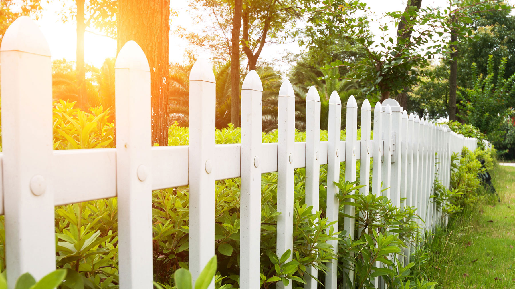 Austin Ranch Townhomes HOA (The Colony) cover